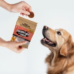 [웰투게더] 크로키 악어 육포 고구마 100g : 미키펫코리아