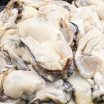 싱싱한 통영 굴 생굴 1kg 석화 깐굴 제철 : 전라도청년