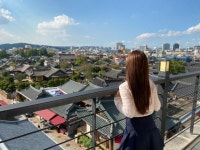 전주 택시투어 전주한옥마을 자유여행 프라이빗 단독투어 : 돌고래여행사-돌핀스토어