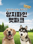 용인 양지파인리조트 펫파크 입장권 / 야외 애견카페 반려견 놀이터 운동장 대형견 가볼만한곳 : 온오프믹스