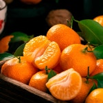 햇살한상 상큼 진한달콤함 만다린 미국산 감귤 : 햇살한상