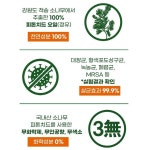 국내산 적송 소나무오일 잇몸 케어 구취제거 무불소 천연 나무숨 피톤치드 치약 120g2개 : 라이프메디컬