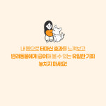 관절영양제 터마신 콘드로이친 호호관절 천호엔케어 120정, 1개 : 메이드인랩