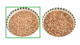 셀레늄 게르마늄쌀 10kg 항산화 성분 혈액순환 배뇨장애 개선 25년 햅쌀 : 게르마늄농장