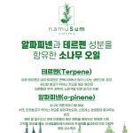 국내산 적송 소나무오일 잇몸 케어 구취제거 무불소 천연 나무숨 피톤치드 치약 120g2개 : 라이프메디컬