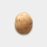 포테이-톡 : 감자유원지