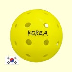 (6개세트)KOREA 피클볼 공 경기용 실내용 실외용 : 키친 피클볼 스토어