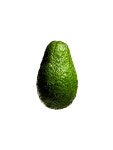 [당도선별] 프리미엄 아보카도 5개 (약1kg) : 프레델 fredel