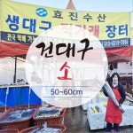 건대구 거제 소 1마리 거제 외포 해풍 반건조대구 생대구 말린 대구뽈찜 거제대구 가덕도대구 : 거제도 효진수산