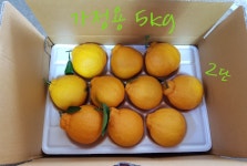 서귀포삼춘농장.청정 제주의 건강한 농산물.하우스 한라봉 : 서귀포삼춘농장