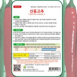 청양고추씨앗 50립 신홍고추씨 종자 짧은 청양계 고추씨앗 : 주주씨앗