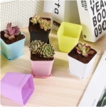 유연하고 가벼운 파스텔 플라스틱 화분 세트 (A0893) : 용천삼리