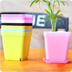 유연하고 가벼운 파스텔 플라스틱 화분 세트 (A0893) : 용천삼리