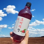 오미자청 1000ml대용량 오미자 엑기스 원액 수제 차 : 맛대표