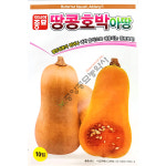 땅콩호박 아땅 10립 땅콩호박씨앗 : 중앙종묘농약사