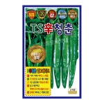 KS TS신청춘 1200립 청양 고추 씨앗 종자 모종 텃밭 KS종묘 : 허수아비정원