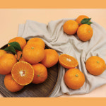 GAP 황금향 백화점 추석 선물 세트 레드향 천혜향 카라향 한라봉 2kg 3kg 4kg 5kg : 위드온키친