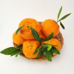 영구농장 고창 레드향 5kg : 고창 마켓