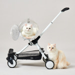 멍글리 위고 캡슐 2in1 엑스트라 시트 반려동물 펫 유모차 이동용시트 세트 : 에이앤에스 컴퍼니