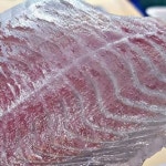 통영 자연산 감성돔 활어 생물 손질 감성돔회 필렛 : 건강수산