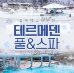 [당일사용가능] 이천 테르메덴 온천 풀앤스파 입장권 종일권 : 티켓박스
