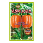 KS 오렌지스위트 파프리카 500립 씨앗 종자 주황파프리카 모종 텃밭 KS종묘 : 허수아비정원