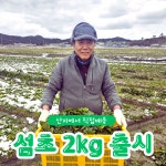 직접재배 - 해풍맞고 자란 명품 노지섬초 2kg - 미네랄이 풍부한 도초도섬초, 섬초 시금치 : 섬마을농부