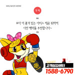 부산 강서구 출판기념 화환 : 꽃배달 늑대와여우