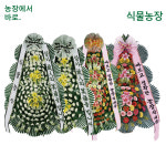 화성시 근조화환 한림대동탄병원장례식장 석우동 장례식화환 : 축하화환 근조화환 개업화분