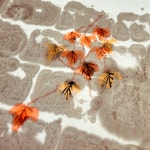 묵선지 연습지 1/2 반절지 4절지화선지 한지 닥지 죽지 캘리그라피 서예 : 혜풍당