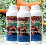해력 불가사리 천연 식물영양제 1000ml 유기농자재 국내생산 : TOXOXO토쏘쏘