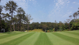 부산골프 해운대비치cc 1박2일 골프패키지 : 자이언트 골프