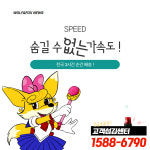 창원파티마병원장례식장 화환 : 꽃배달 늑대와여우
