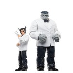 Hasbro 마블 레전드 시리즈 울버린 50 주년 기념 패치 및 조 픽싯 액션 피규어, 6 2 팩 신제품 : 한강무역상사12
