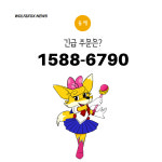 청주성모병원장례식장 화환 : 꽃배달 늑대와여우