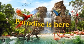 [당일발권] 싱가포르 버드파라다이스 입장권 싱가포르 새공원 최신 자연 테마 파크 (저렴한 티켓) : 스카이포트