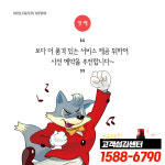 임실군 결혼 축하화환 : 꽃배달 늑대와여우