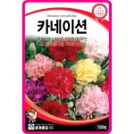카네이션 씨앗 카네이션 150립 / 종자 꽃씨 몰 다년생 어버이날꽃 화분 봄 가을 : 아진종묘 꽃씨몰