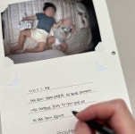 포티페타 더 페이지 The Page 전용 앨범 속지, 성장, 초음파, 가족앨범 : 포티페타