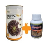 팜한농 유럽상추 대용량 5000립 멀티레드54 버터헤드 로메인 상추 종자 : 농사의신 씨앗백화점