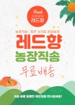 [농장직송] 서귀포 레드향 3/5kg 선물용/가정용 : 상예동한라농장