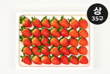 농장직송 논산 설향 딸기 프리미엄 생딸기 고당도 아이들간식 홈파티 잼 청 : 해남형제