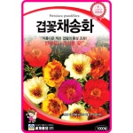 겹채송화 씨앗 1000립 / 겹꽃 채송화 종자 꽃씨 꽃밭 화단만들기 조경가꾸기 : 아진종묘 꽃씨몰