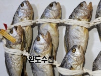 영광 굴비 선물세트 부세굴비 특대사이즈 : 목포 완도수산