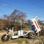 A 씨에이치모터스 삼륜 전동차 덤프화물 CH-410F 농업용 농촌 : 신일에스피