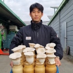 팔도명인 충북 음성에서 온 황제버섯 설원버섯 700g / 1.3kg : 팔도명인