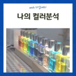 CPA입문 컬러테라피 감정테라피 컬러심리상담사 : 리얼아로마