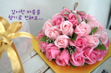 비누꽃 전문가 강사반, 늘봄, 돌봄, 방과후, 공예강사 : 구대대구