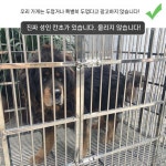 스텐 새장 대형 이동식 키우기 새집 스테인리스 : 팔공컴퍼니