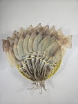 동해바다 마른오징어 해풍건조 구룡포 덕장 운영 건조오징어 10마리 : 용신유통 건어물
